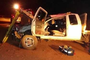 Brakk! Kanguru Tabrak Mobil 4WD, Sopir Terlempar Hingga Patah Tulang