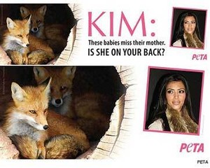 Hobi Pakai Bulu, Kim Kardashian Dikecam PETA