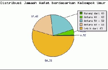 Jamaah Haji Wafat 380 Orang