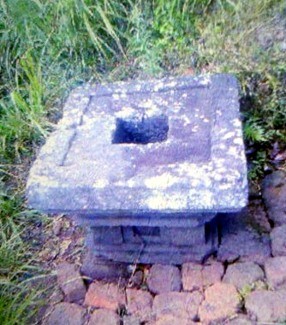 Berawal dari Mimpi, Budiono Temukan Sebuah Candi