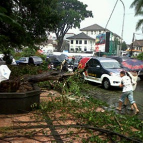 Pohon Tumbang Macetkan Jalan Perintis Kemerdekaan