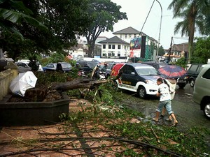 Pohon Tumbang Macetkan Jalan Perintis Kemerdekaan
