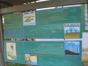 Sekilas Taman Nasional Rawa Aopa Watumohai