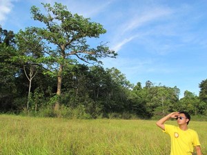 Sekilas Taman Nasional Rawa Aopa Watumohai