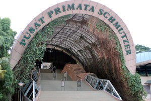 Jalan-jalan Pintar Bersama Pusat Primata Schmutzer
