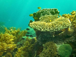 Indahnya Pulau Pura, Alor