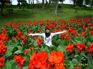 MALANG IN LOVE