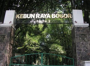Asyiknya Jalan-jalan di Kebun Raya Bogor