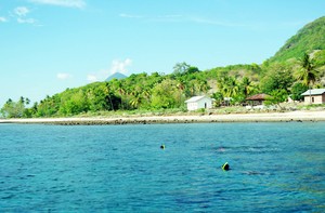 Indahnya Bawah Laut Pulau Pantar