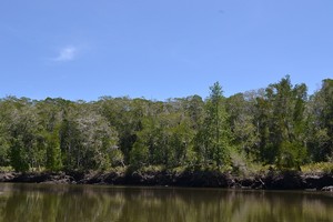 Taman Nasional Rawa Aopa Watumohai (Part 2)