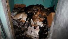 Kasihan, Anjing & Kucing Dibunuh Demi Jadi Tuan Rumah Euro 2012