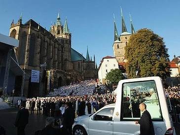 Tidak Pakai Sabuk Pengaman, Paus Terancam Ditilang