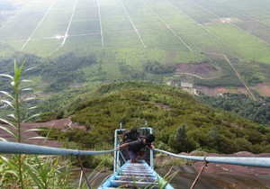 Why Dont You Try West Borneo?