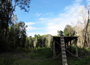 Semalam di Kampung Dayak Iban Kedungkang