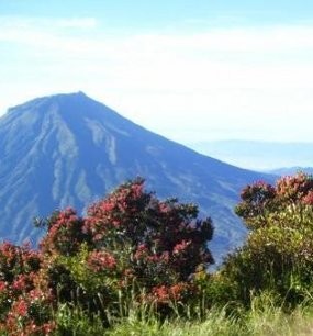 Aktivitas Meningkat, Status Gunung Sindoro Naik Jadi Waspada