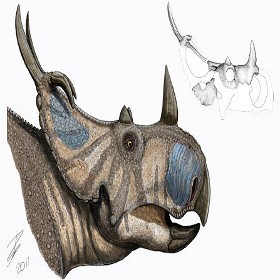 Spesies Baru Dinosaurus Bertanduk Ditemukan!