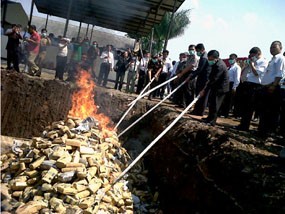 Polda Jabar Bakar Ganja Senilai Rp 3,7 Miliar