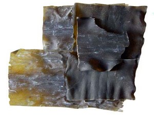 Kombu, Rahasia Umami Makanan Jepang