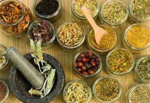3 Herbal Peningkat Fungsi Otak dan Energi