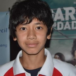 Jadi Aktor Terbaik FFI 2011, Emir Mahira Speechless