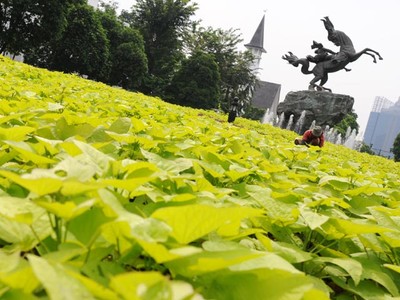 Kenapa Taman Kota Kalah dengan Mal?