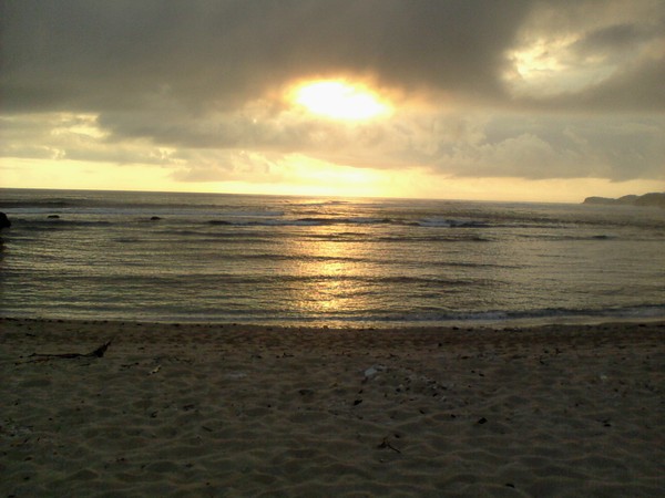 Pasir Putih Mempesona Di Pantai Ngliyep Malang