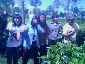 playground in tea garden 