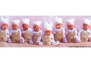 Bayi Kembar 8 dengan Bantuan 2 Ibu Pengganti