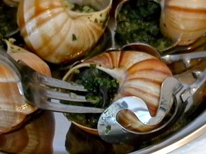Bekicot alias Escargot, Halal atau Haram?