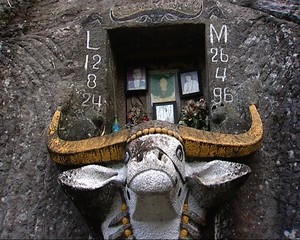 Tedong Toraja