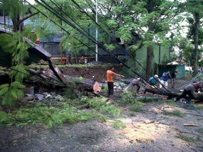 Bruk 4 Pohon Tumbang, Benteng Kolam Renang Graha Tirta Ambrol 