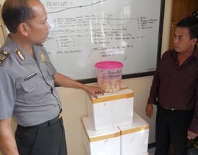 Penyelundupan 1.900 Telur Penyu Digagalkan