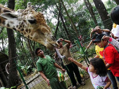 Libur Tiba, Saatnya ke Ragunan