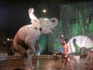 Saksikan Tarzan DMighty Circus, Diskon Hingga 50% dengan Debit BCA!