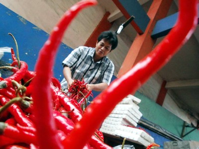 Harga Cabai Merah Tembus Rp 65.000/Kg