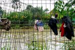 Beginilah Bocah Kalimalang Mengisi Liburan
