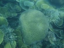 Pulau Pramuka, Alternatif Wisata Bahari di Jakarta