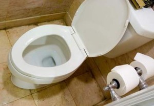 Proyek Toilet Rp 2 M, DPR Disarankan Tak Lupa Jaga Kebersihan