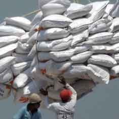 Bulog Lebih Banyak Serap Beras Impor daripada Petani 