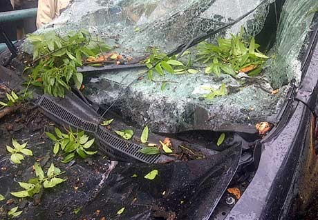 Camry & Innova Tertimpa Pohon di Abdul Muis, Lalin Macet