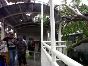 Tertimpa Pohon, Halte Busway Dukuh Atas 2 Tak Bisa Digunakan