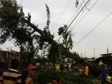 Gara-gara Pohon Tumbang, Perjalanan KA di Tanah Abang Terganggu