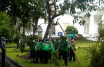 Pohon Trembesi SBY di Istana Tumbang