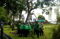 Pohon trembesi yang terletak di belakang Istana Merdeka itu tumbang sekitar pukul 14.15 WIB.