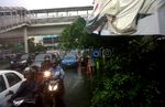 Hujan Angin, Pohon di Jl S Parman Tumbang