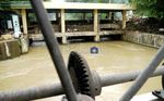 Sampah Musim Hujan Percepat Banjir