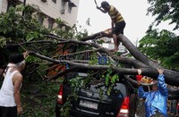 Kijang Inova dengan plat nomot B 2102 NH tertimpa pohon saat melintas di jalan Jembatan Besi Raya, Jakarta. Rengga Sancaya/detikcom.