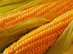 Kebanyakan Jagung dan Cokelat Bisa Ganggu Pencernaan