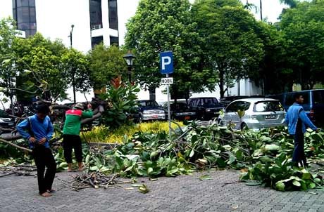 Istana Terus Berbenah Setelah Diterjang Puting Beliung