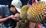 Hmmm...Wangi Itu Begitu Menggoda